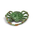 SPIDER CRAB - TURQUOISE-GREEN - LARGE