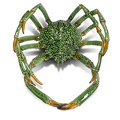 SPIDER CRAB - TURQUOISE-GREEN - GIANT