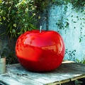 apple red fibreresin