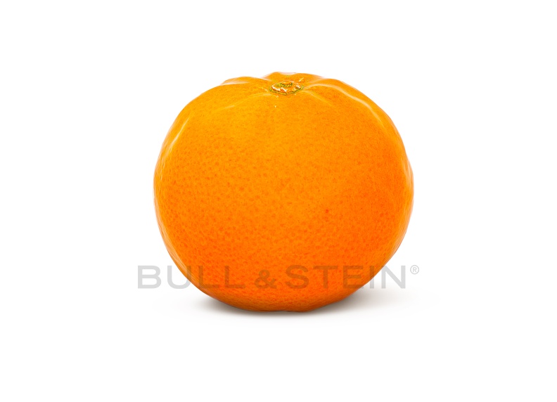 clementine_medplus_1.jpg