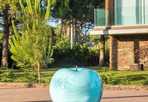 apple fibreresin turquoise pool6