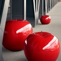 apple red group bridge