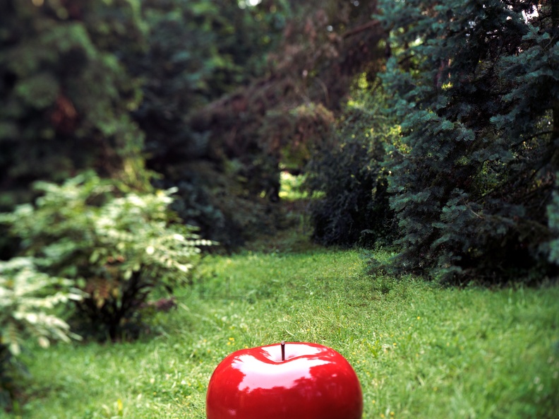 apple red outdoor2