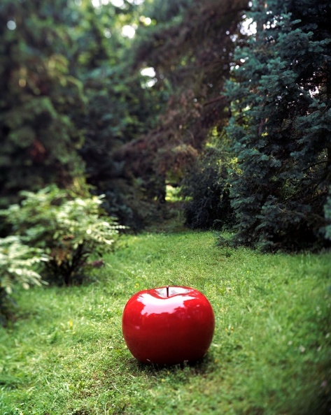 apple_red_outdoor2.jpg