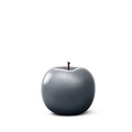 apple metallicanthracite