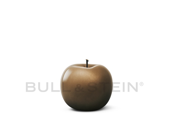 apple metallicbronze
