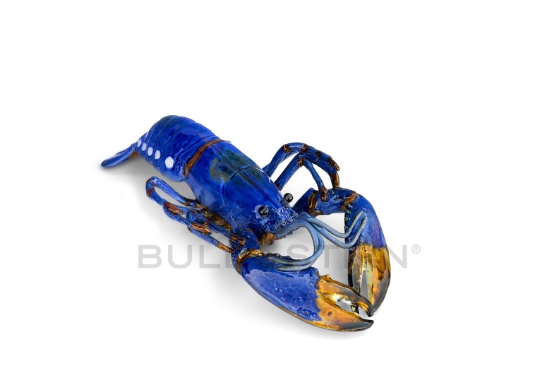lobster_blue_giant_8709.jpg
