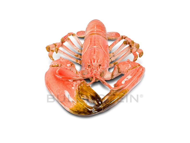 lobster_rose_giant_8822.jpg