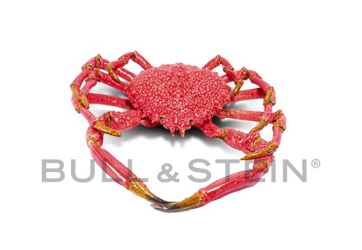 SPIDER CRAB - RED - GIANT