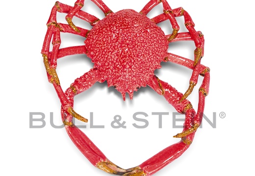 SPIDER CRAB - RED - GIANT