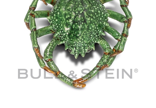 SPIDER CRAB - TURQUOISE-GREEN  - LARGE